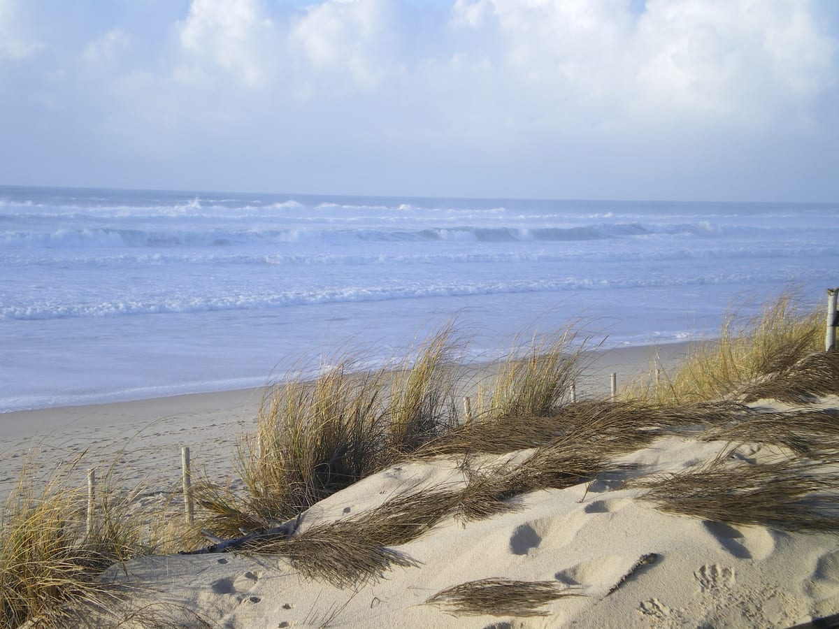 Océan Atlantique vu depuis la dune à Carcans-Plage